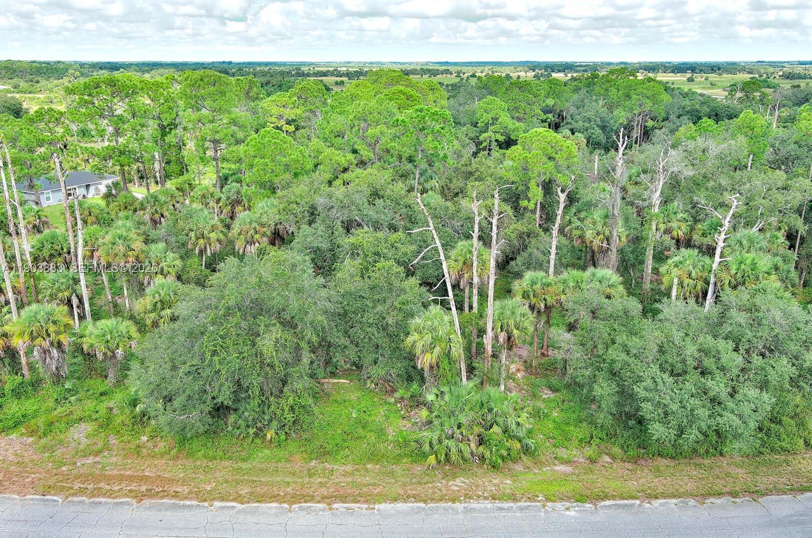 232 SPARKLE DR, La Belle FL 33935