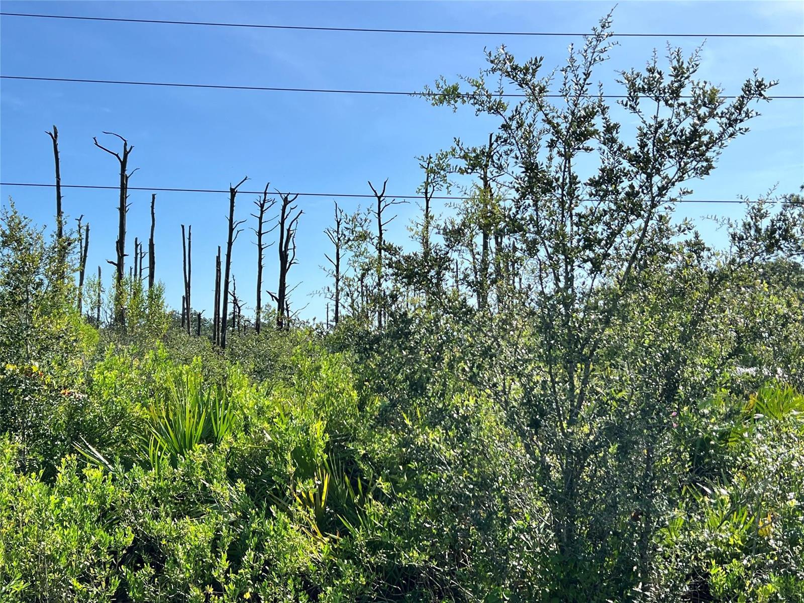 34964 N Hwy 441, Okeechobee FL 34972