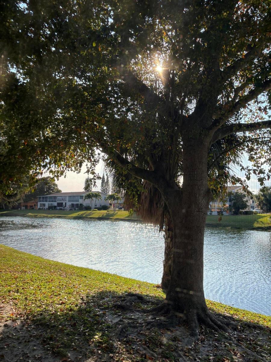 75 Sheffield D, West Palm Beach FL 33417