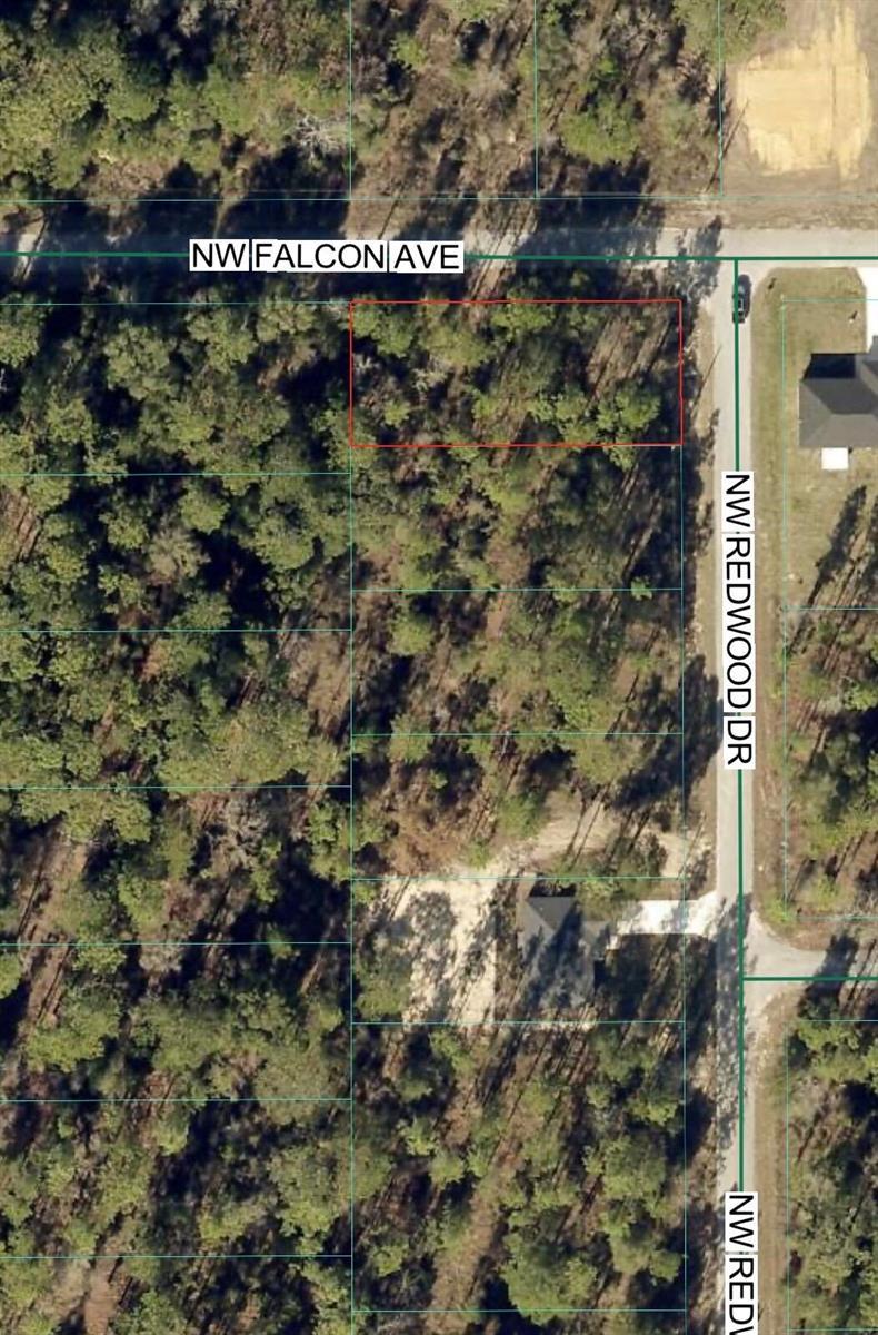 Tbd NW Redwood Drive, FL 34431