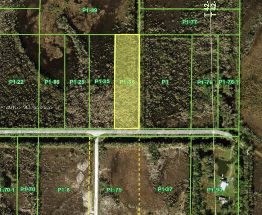 Oil Well, Punta Gorda FL 233955