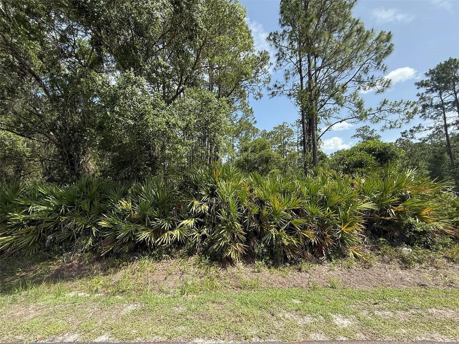 132 Millican Road, Palatka FL 32177