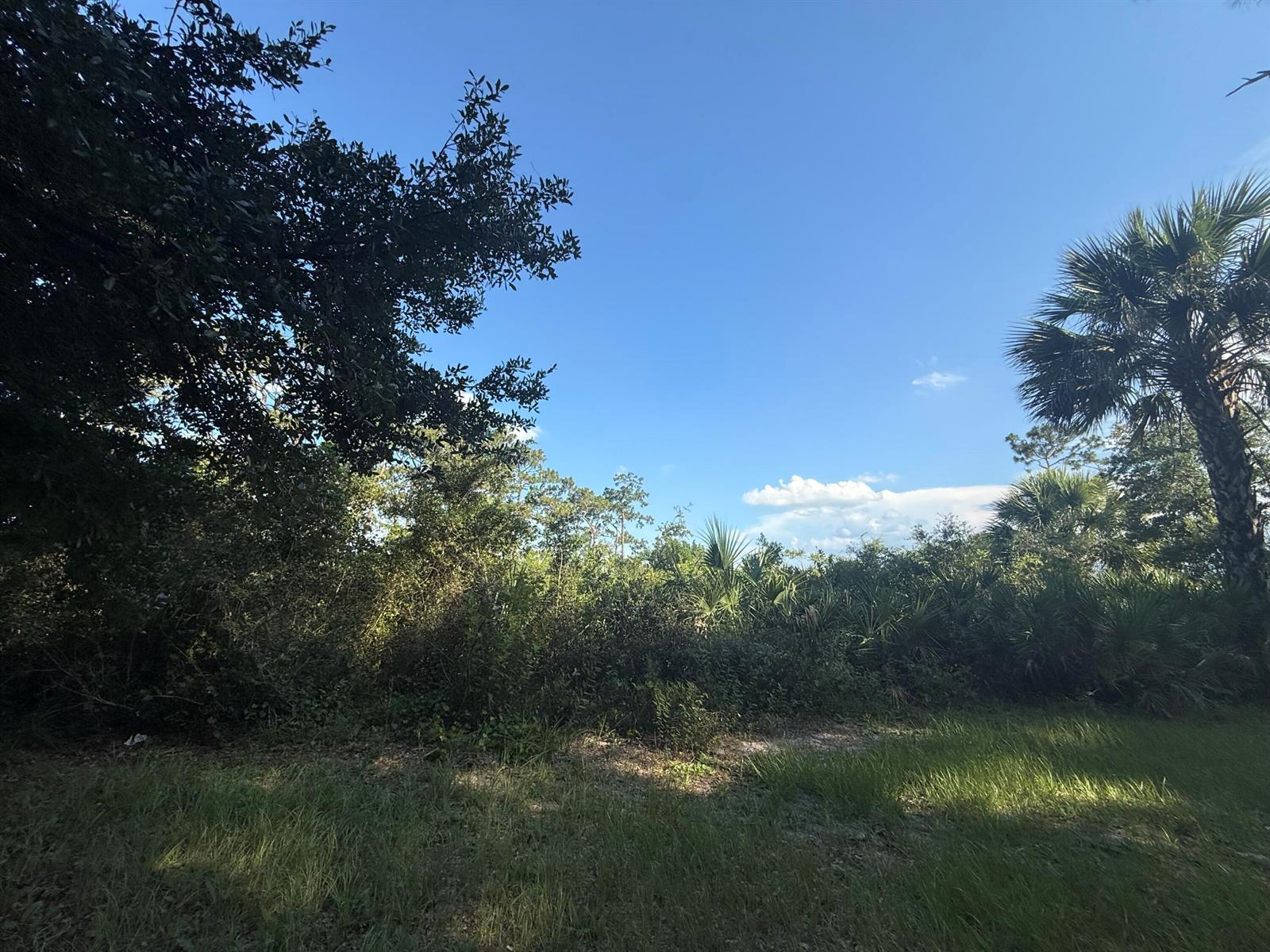 3349 NE 301st Boulevard, Okeechobee FL 34972