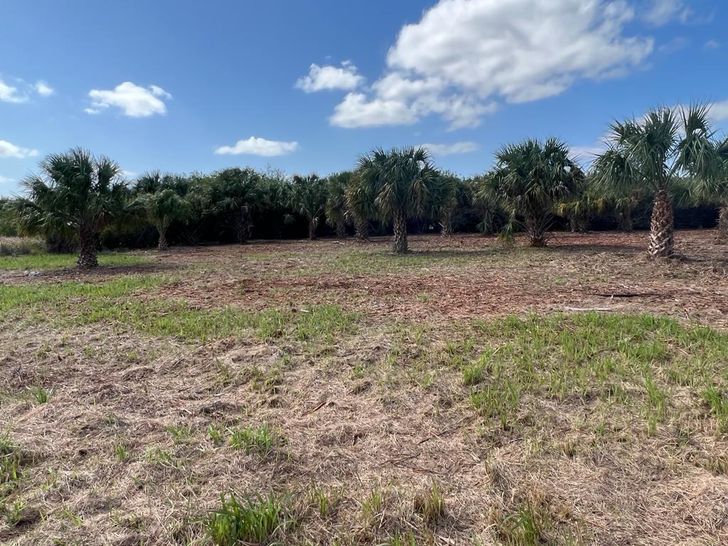 2182 Sparta Avenue SW, Palm Bay FL 32908