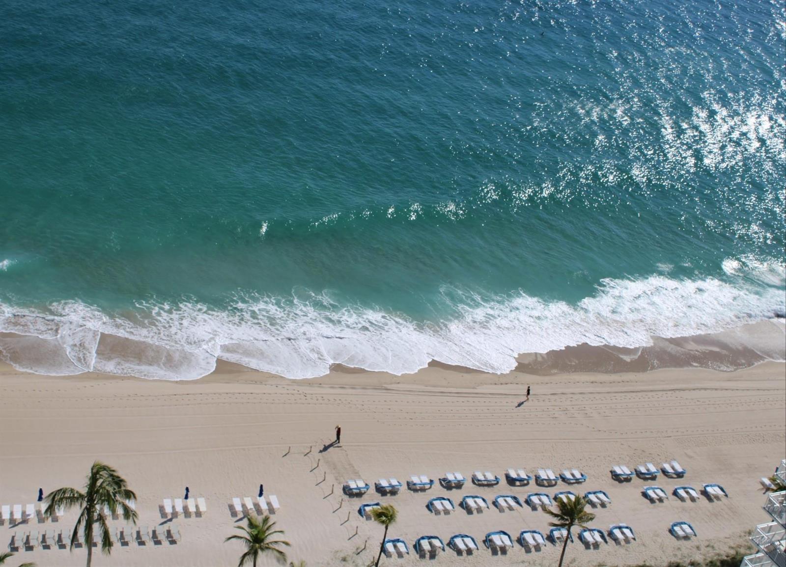 3900 Galt Ocean Drive # 1004, Fort Lauderdale FL 33308