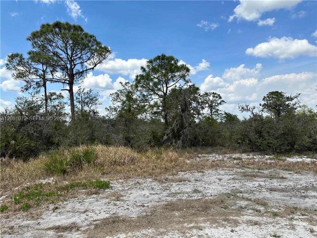 5128 Coruna Ave, Sebring FL 33872