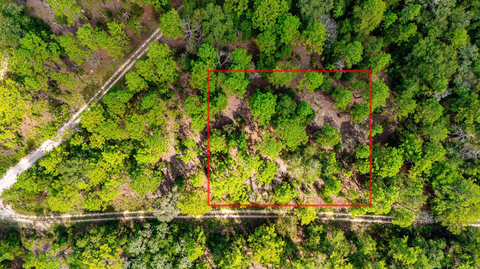 15515 SW 25th Place, Ocala FL 34481