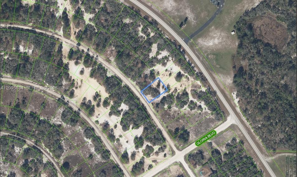 488 Morningside Drive, Lake Placid FL 33852