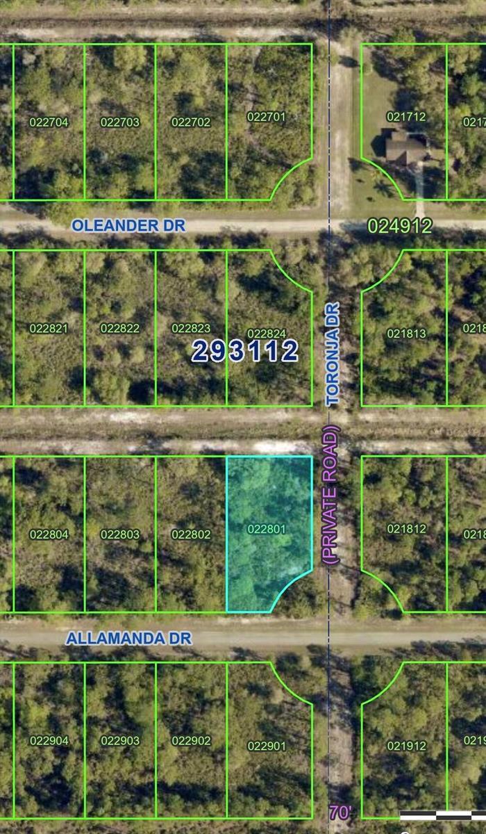 0 ALLAMANDA Drive, FL 33855