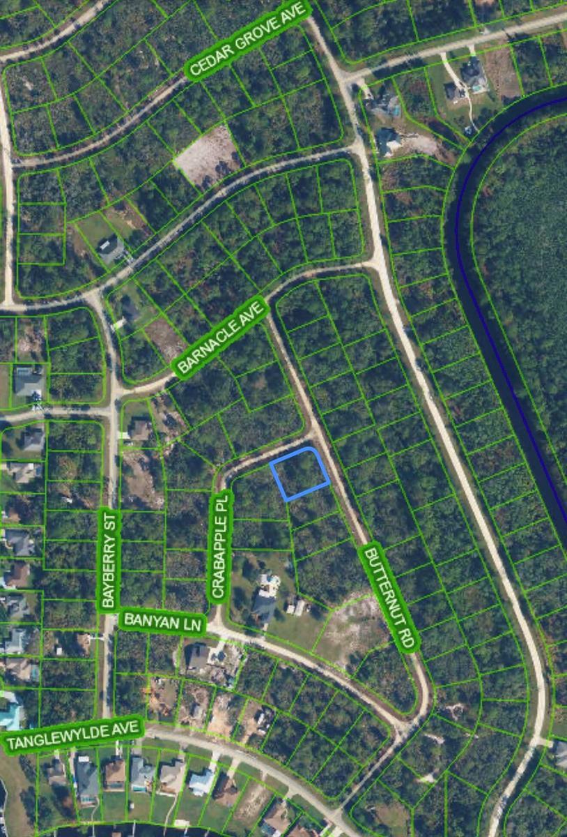 1123 CRABAPPLE Place, Lake Placid FL 33852