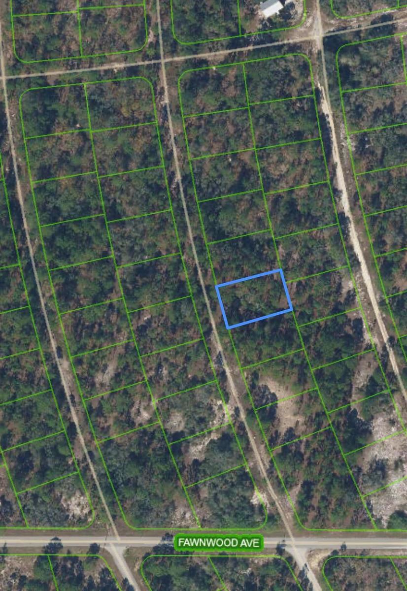 211 SUNFLOWER Drive, Lake Placid FL 33852