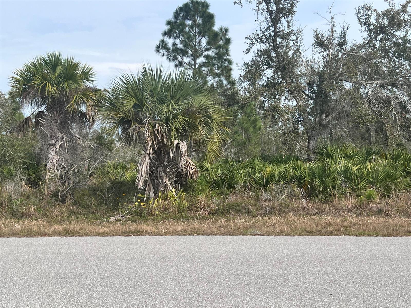 310 Halloran Street, Port Charlotte FL 33953
