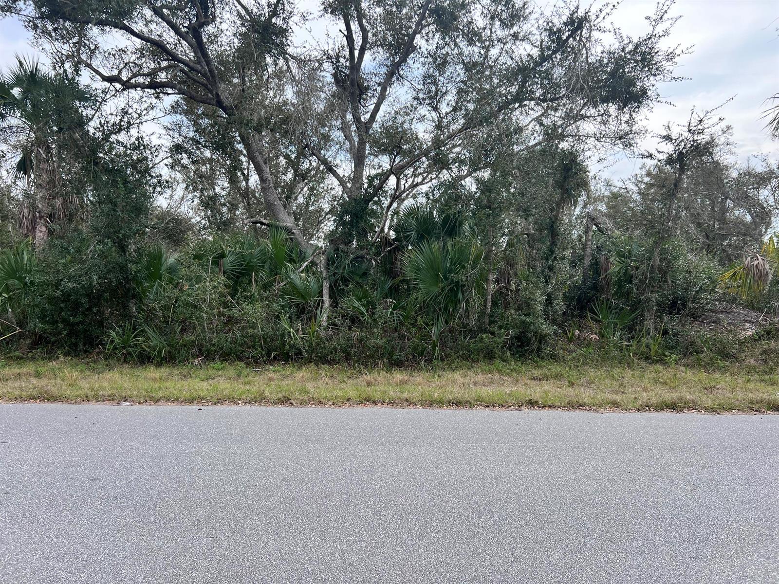 14447 Black Avenue, Port Charlotte FL 33953