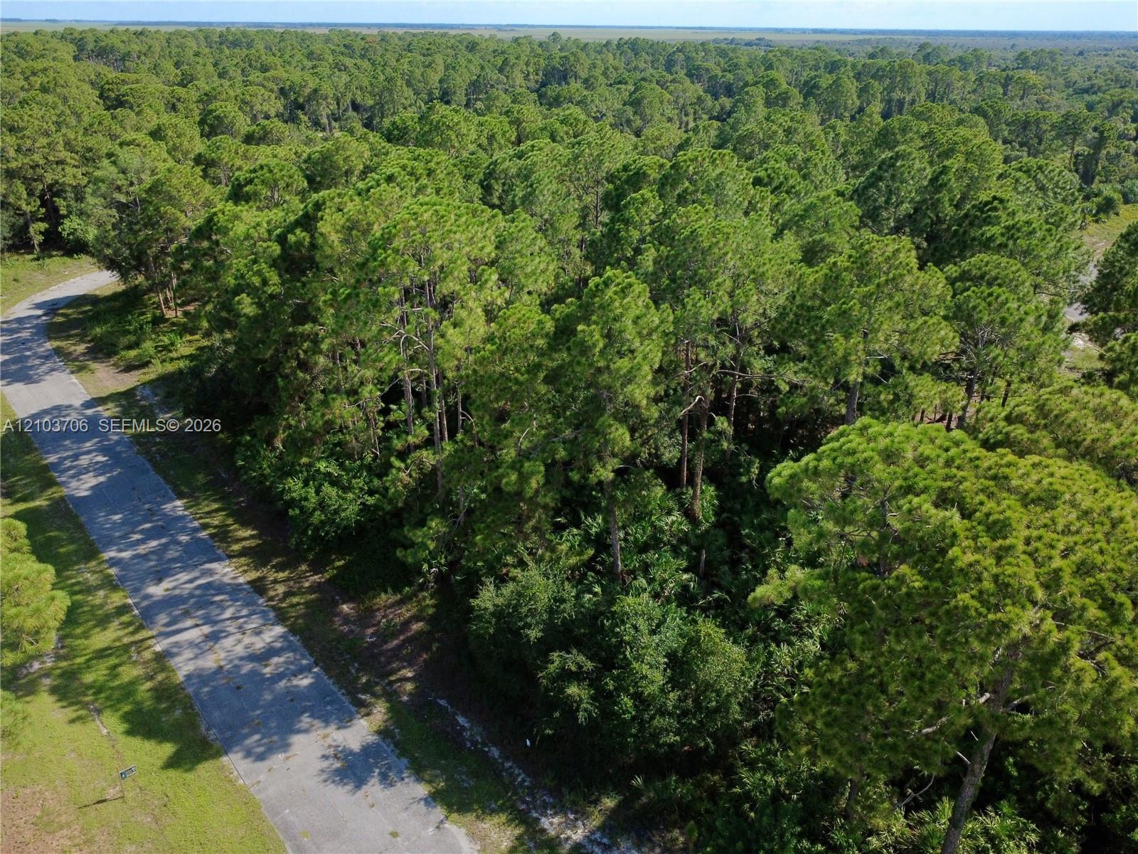 106 ROSEMONT PL, La Belle FL 33935