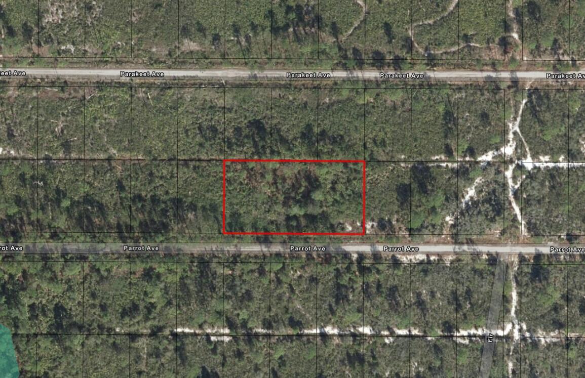 720 Parrot Avenue, Sebring FL 33872