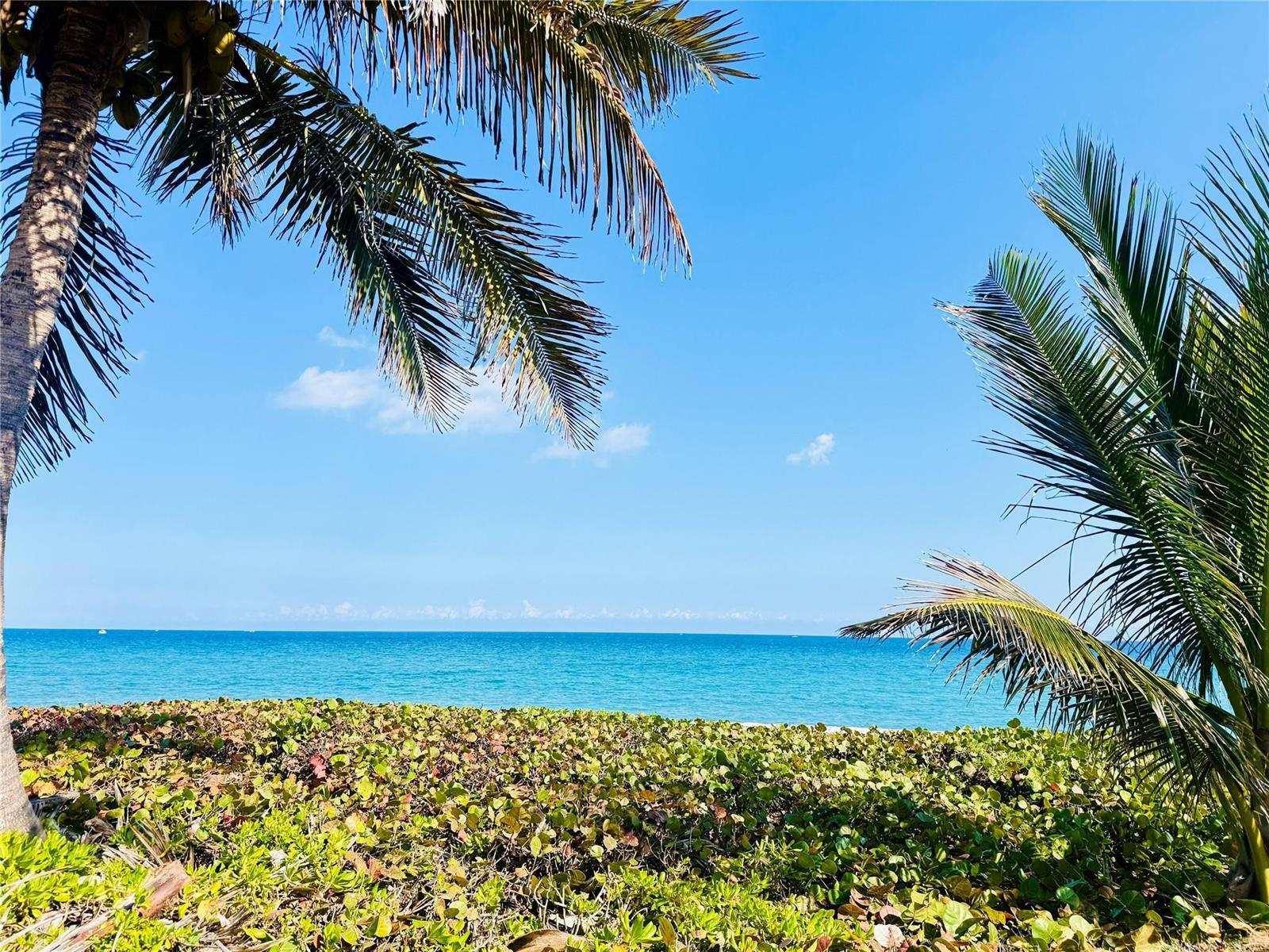 1187 Hillsboro Mile # 9E, Hillsboro Beach FL 33062
